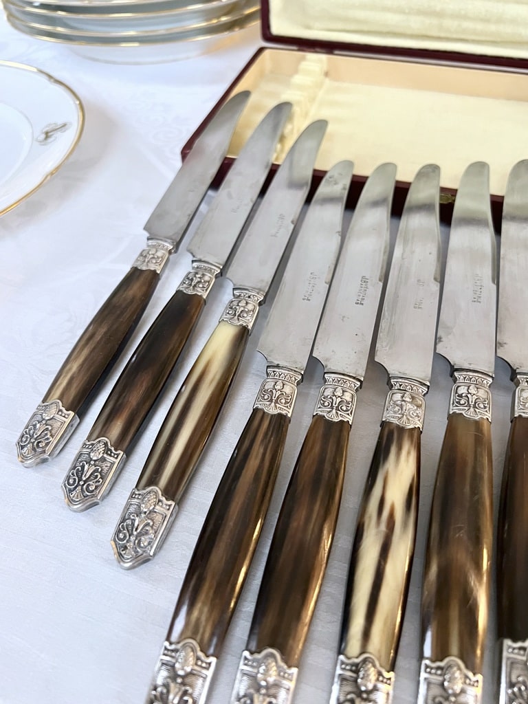 couteaux-art-deco-corne-bovine-metal-argente-lame-acier-coffret-menagere-couverts-vintage-brocante-vaisselle-antiquaire-art-de-la-table