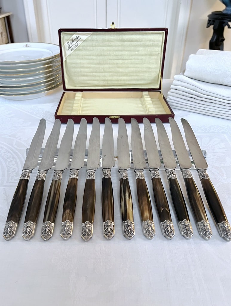 couteaux-art-deco-corne-bovine-viroles-metal-argente-lames-acier-menagere-coffret-ecrin-antiquaire-brocante