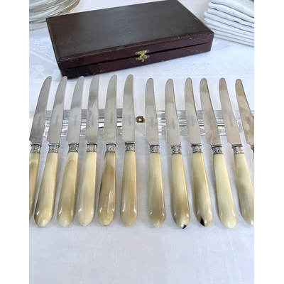 couteaux-entremets-art-deco-manche-corne-bovine-metal-argente-lames-inox-brocante-antiquaire-france