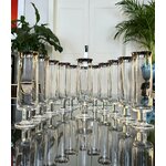 service-verres-champagne-flutes-1970-rosenthal-platine-argent-art-de-la-table-vaisselle-brocante