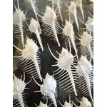 coquillages-decoration-murale-collection-boutique-en-ligne-deco