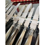 coffret-de-couteaux-anciens-epoque-art-deco-manche-corne-bovine-metal-argente-lame-inox-24-pieces-menagere-ancienne-antiquites-brocante