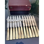 12-couteaux-anciens-lame-inox-manche-corne-bovine-coffret-menagere-art-deco-antiquaire-brocante