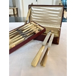 coffret-couteaux-anciens-art-deco-corne-bovine-couverts-menagere-antiquites-brocante