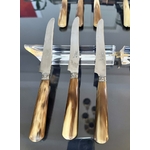 couteaux-entremets-anciens-19e-siecle-manche-corne-bovine-metal-argente-lame-inox-coffret-art-de-la-table-brocante-antiquaire