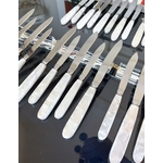 service-couteaux-vintage-24-pieces-couverts-anciens-manche-effet-nacre-lame-inox-brocante-antiquites