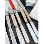 couteaux-vintage-effet-nacre-coffret-ecrin-rangement-menagere-ancienne-couverts-de-table-brocante-antiquites