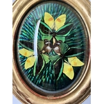 composition-insectes-naturalises-scarabees-papillons-cadre-ovale-verre-bombe-napoleon-III-brocante-antiquaire