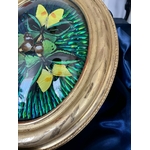 cadre-mural-ovale-bois-dore-a-la-feuille-insectes-naturalises-verre-bombe-decoration-classique-style-napoleon-III-antiquaire-brocante-en-ligne