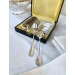 coffret-cuilleres-dessert-metal-blanc-antiquaire-brocante-art-de-la-table-ancien-couverts