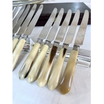 couteaux-entremets-corne-bovine-metal-argente-lames-inox-brocante-antiquaire-france