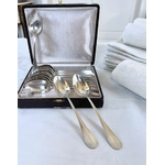 coffret-cuilleres-a-dessert-metal-blanc-menagere-ancienne-style-classique-francais-brocante-antiquaire-couverts-vintage