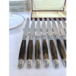 coffret-couteaux-de-table-art-deco-manche-corne-bovine-metal-argente-lame-acier-art-de-la-table-vaisselle-brocante-vintage-antiquites