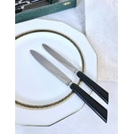 couteaux-viande-et-entremets-manche-ebene-metal-argente-lame-acier-inoxydable-menagere-art-deco-vaisselle-vintage-brocante-antiquaire
