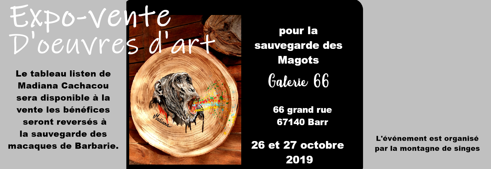 exposition montagne des singes 2