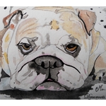 cadre déco bulldog chien aquarelle contemporain design