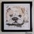cadre déco bulldog chien aquarelle contemporain design décoration