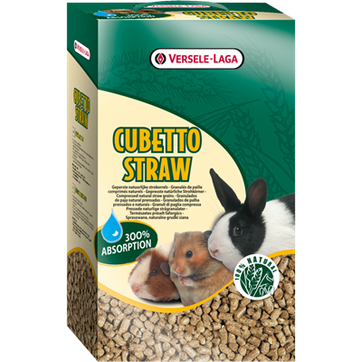 cubetto