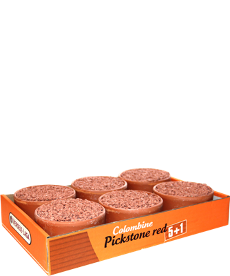 5410340124017pack-2