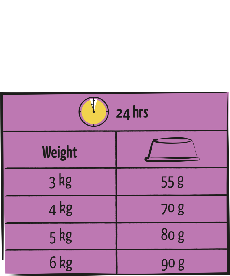 5410340411582chart