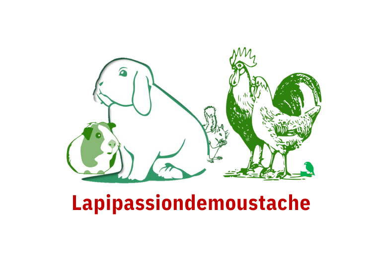 presentation1 12 logo14 37 pdf