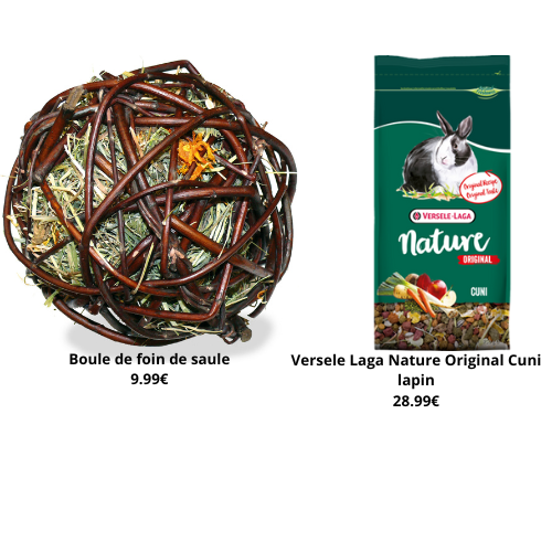 boule de foin de saule 9