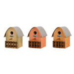 NKH_01