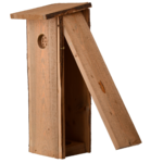 NKX_09-2