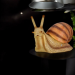 ESCARGOT