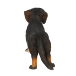 37000422_06