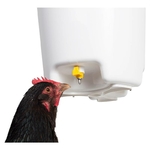 seau-abreuvoir-a-pipettes-12-l poules