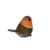 34100155_06
