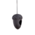 FB532_01
