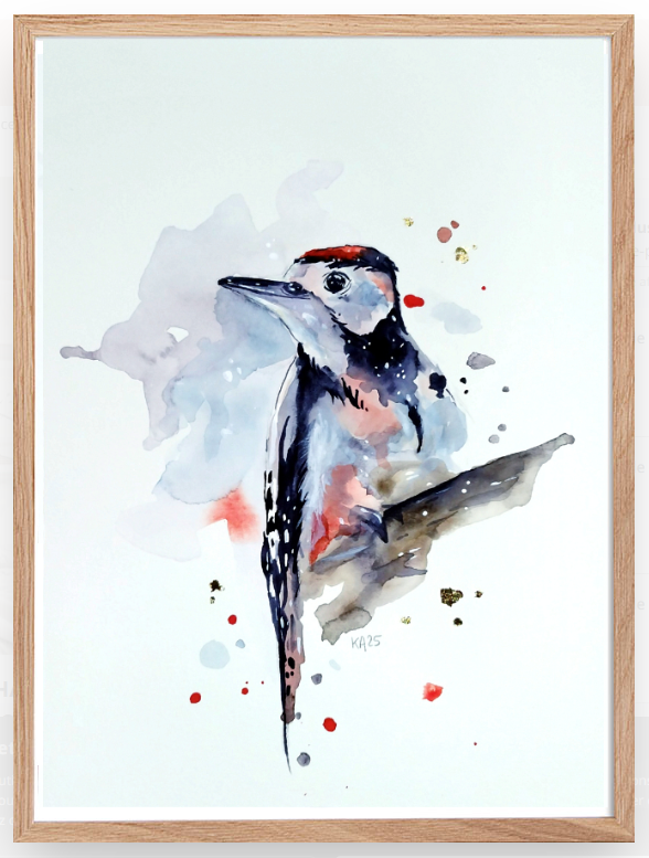 pic épeiche aquarelle 2