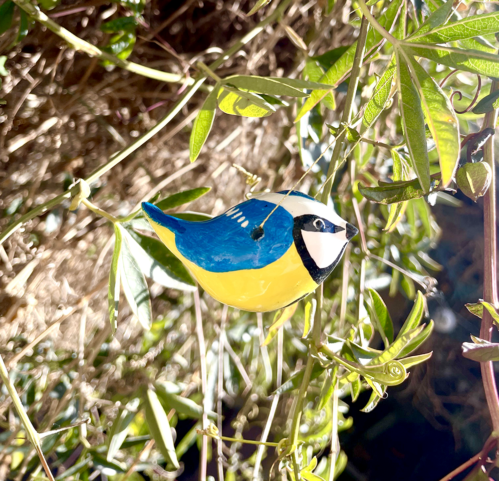 mésange 2