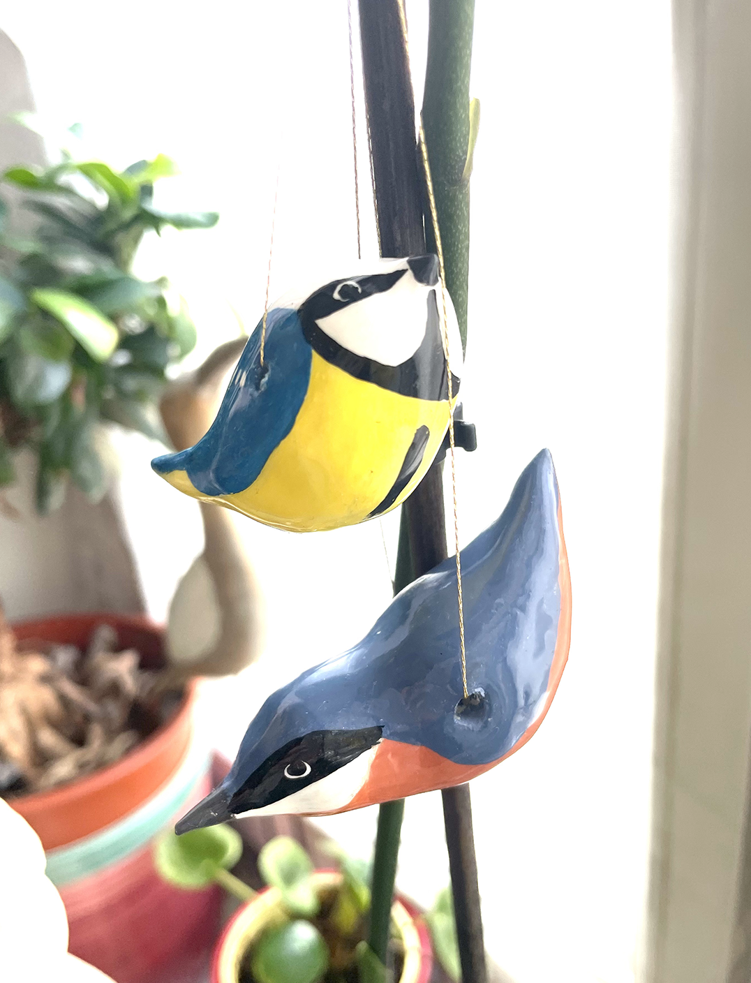 sittelle mésange