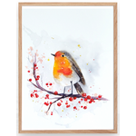 rouge gorge aquarelle 2