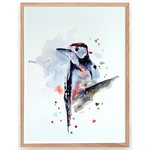 pic épeiche aquarelle 2