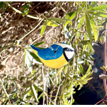 mésange 2