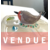 RG vendue