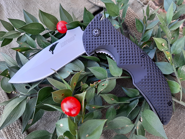 31