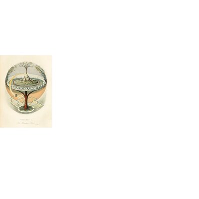 Illustration d'Yggdrasil, l'arbre de vie nordique