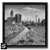 arthot-photo-art-b&w-new-york-vendee-newvendee-026-bouin-eoliennes-marais-manhattan