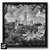 arthot-photo-art-b&w-new-york-vendee-newvendee-48-ile-noirmoutier-anse-rouge-tour-plantier-manhattan-feuillage