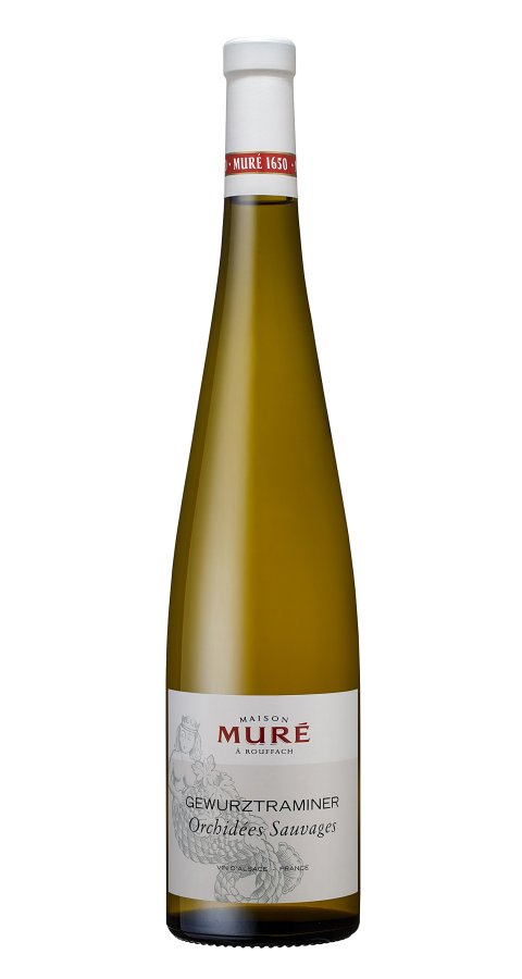 Mure gewurztraminer-orchidees-sauvages