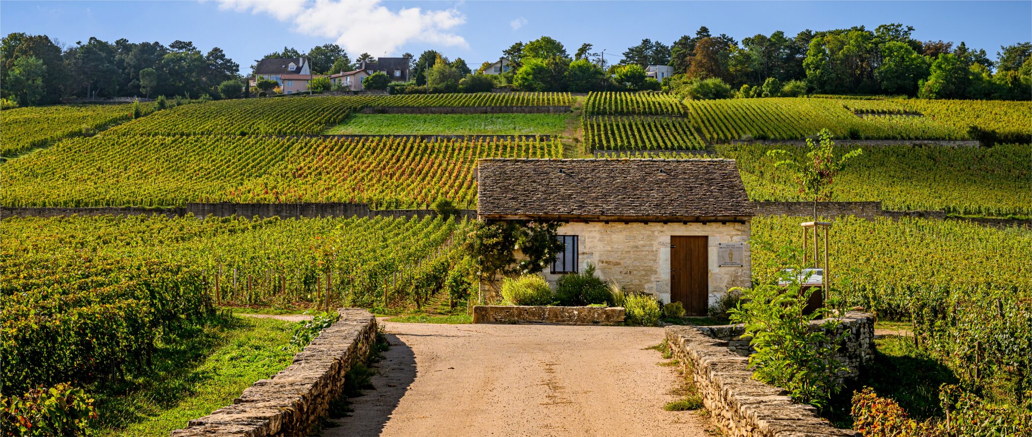 bouchard beaune jesus