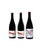 Dumas Gamme 3 rouges n2