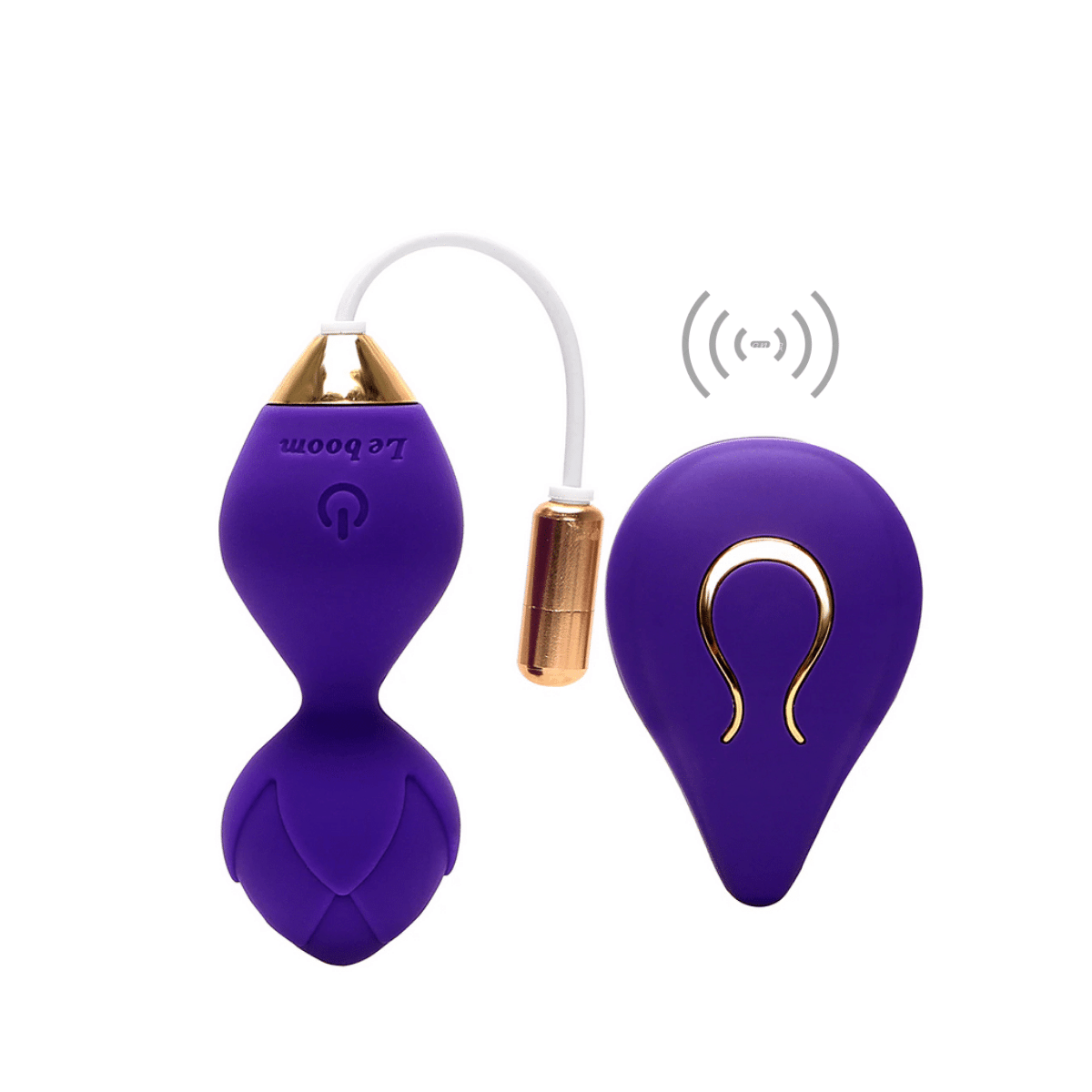 sextoys controlé à distance fantasme insolite discret sextoy couple adulte érotique jouet jeu sexe (37)