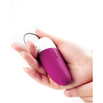 sextoy connecté smartphone jouet adulte érotique contrôle à distance oeuf vaginal captain vice boutique  (1)