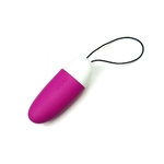 sextoy connecté smartphone jouet adulte érotique contrôle à distance oeuf vaginal captain vice boutique  (4)